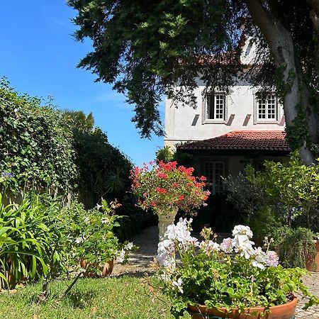 Villa Branca Jacinta Sintra Dış mekan fotoğraf