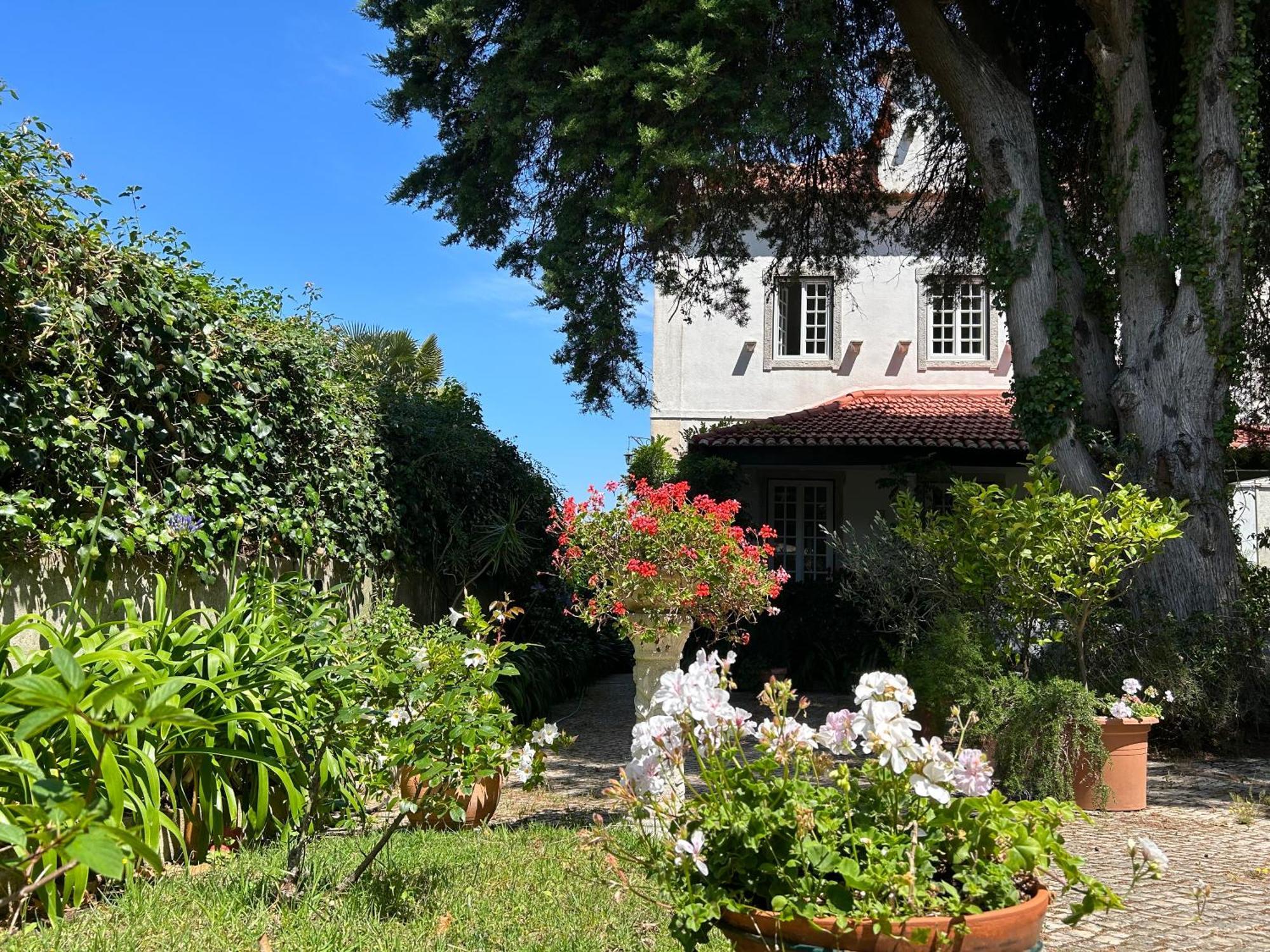 Villa Branca Jacinta Sintra Dış mekan fotoğraf