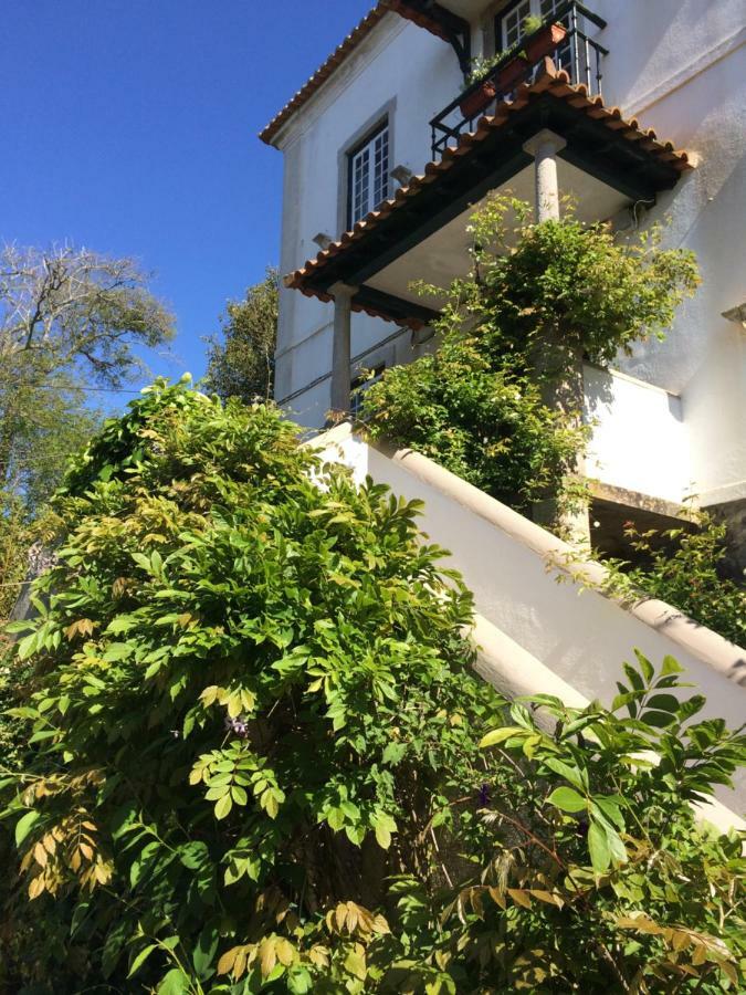 Villa Branca Jacinta Sintra Dış mekan fotoğraf