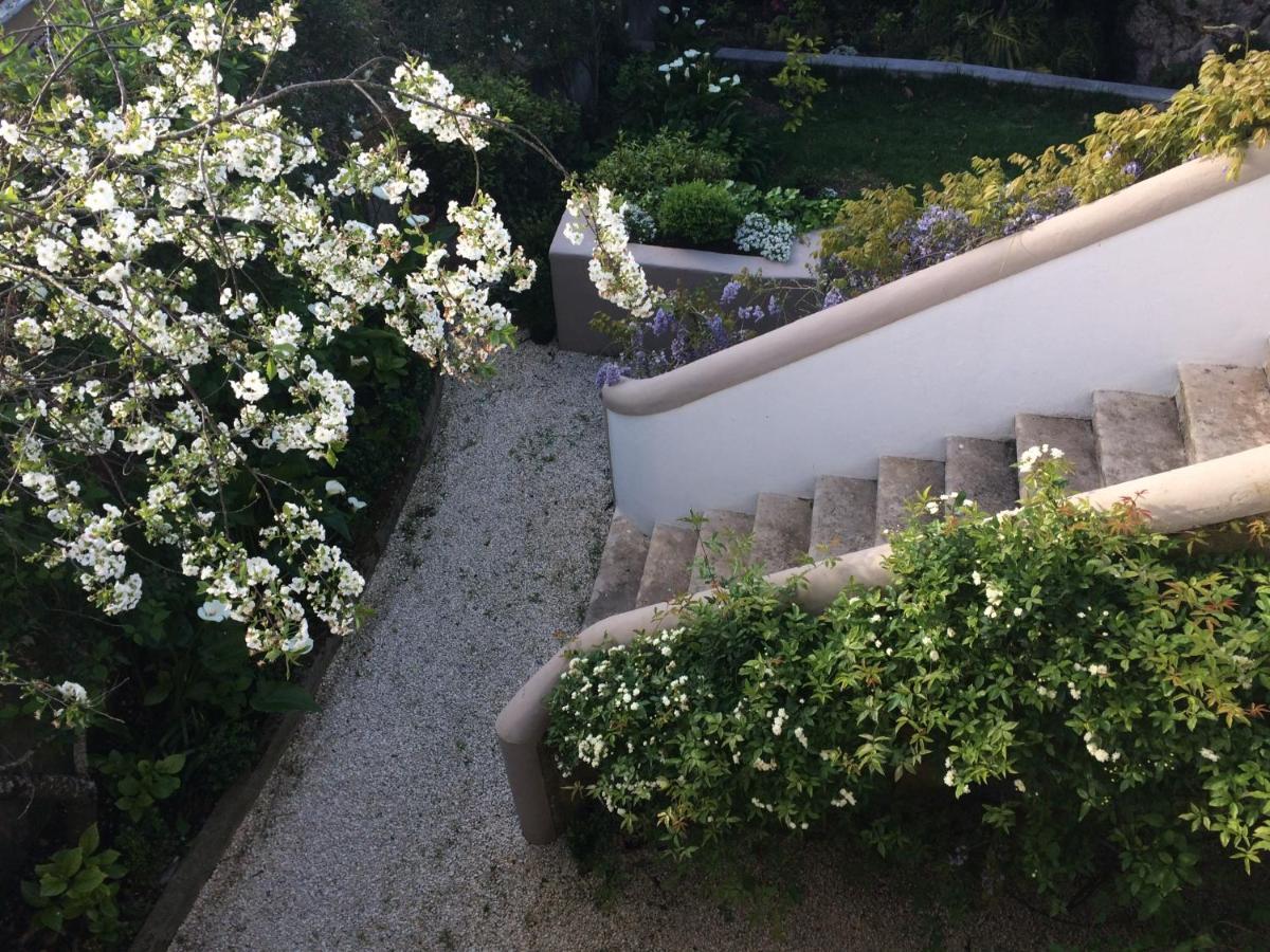 Villa Branca Jacinta Sintra Dış mekan fotoğraf